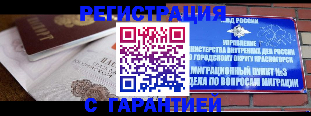 прописка 2025 в Клинцах